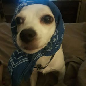 Meet your Posher, Tracey